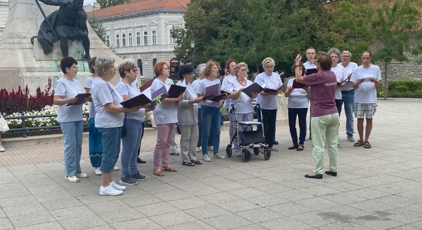 Dalra fakadtak a kecskemétiek a súlyos betegekért – fotók, videó