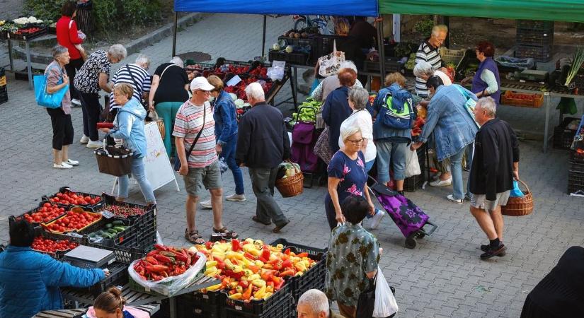 Mindenki sorban áll a piacon ezért a ropogós „szuperélelmiszerért”, amely igazi vitaminbomba is – galériával és videóval