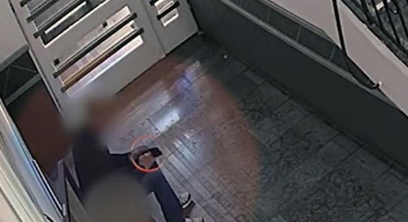 Megint rács mögé kerülhet a visszaeső tolvaj