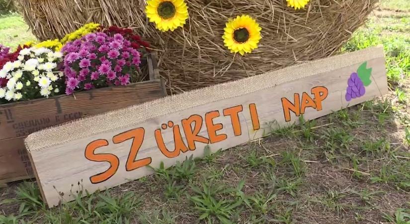 Hagyomány és újdonság a szüreti napon