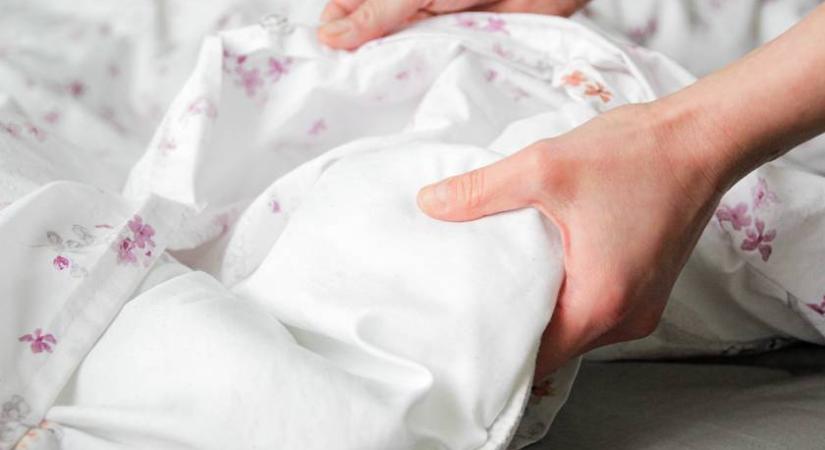 Így jutnak be leggyakrabban az ágyi poloskák a lakásba: meglepően sokféle módon