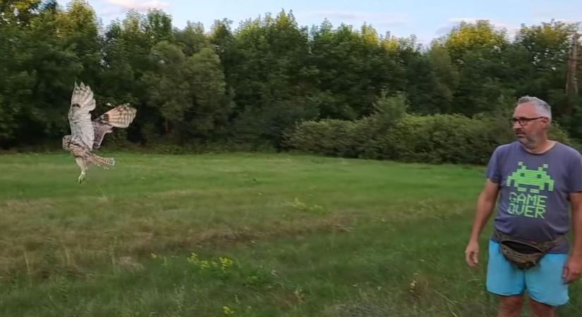 Videón, ahogy tömegesen engedik szabadon az állatokat Borsodban!