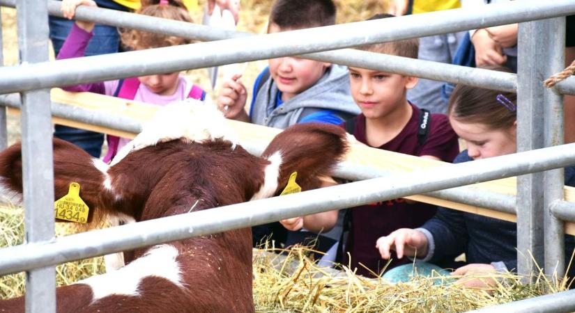 Zala is jelen van az országos vásáron – a látogatók többet kapnak, mint gondolták