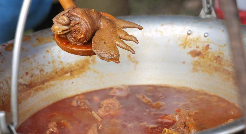 Most mutasd meg mit tudsz: megversenyeztetik a pörkölteket!