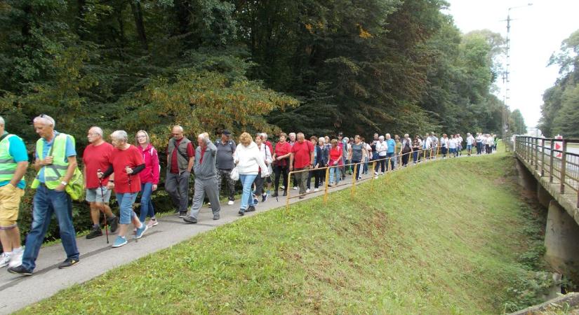 Tömegesen lepték el az erdőt az idősek a zalai városban, ez volt az oka