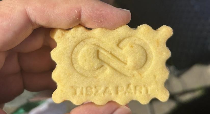 Egészség és sport egy helyen – TISZA Piknik lesz szombaton a győri Aranyparton