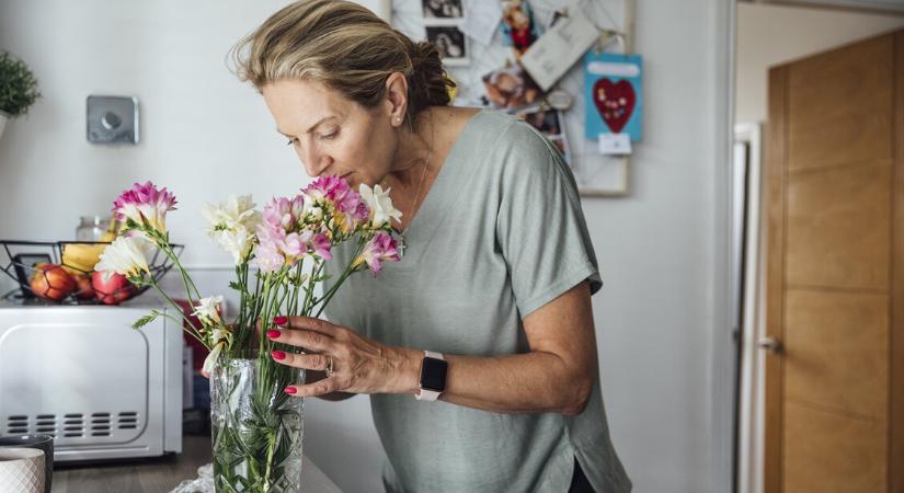 Alzheimer-kór – nem a memóriánk, hanem az orrunk árulkodik róla először