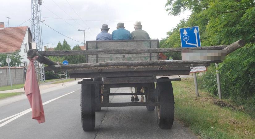 Árokba hajtott egy lovaskocsi Csongrádnál, a hajtót tűzoltók emelték ki