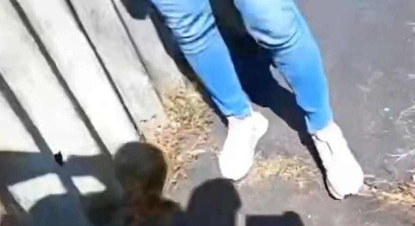 Ingyenmozi Miskolcon! Rendőrkézen a kisgatyás nyugdíjas – videóval