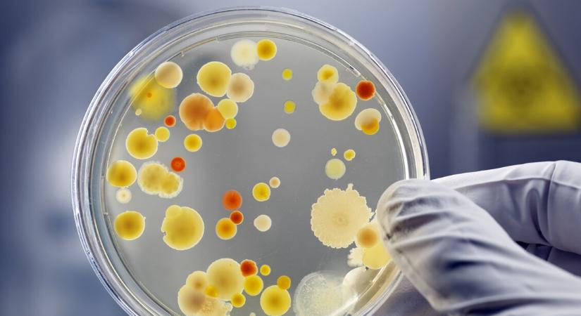 Baktériumgyilkos vírusokat alkotott a mesterséges intelligencia