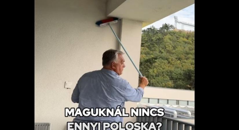 Fegyelem!
