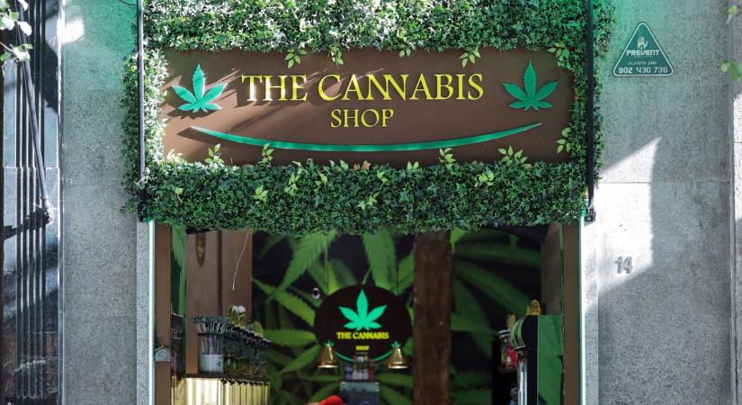 A CBD ugyan nem kábítószer, de kifejezetten káros egészségügyi vonzatai vannak