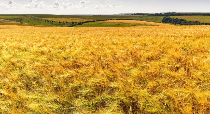 Fordulóponton a magyar agrárium