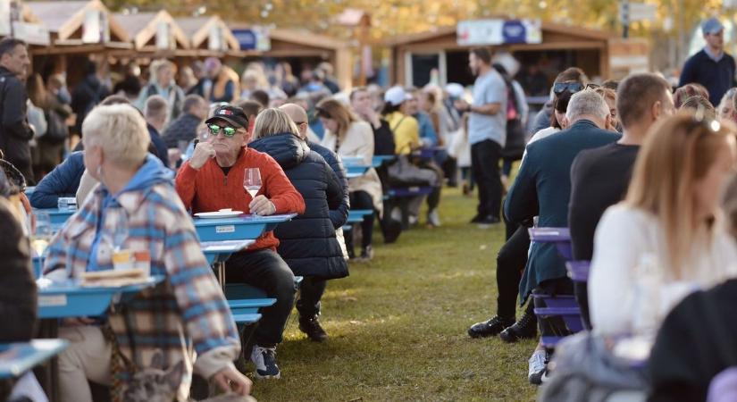Őszi varázslat a Balaton partján – Gasztronómiai és zenei élmények