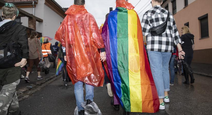 A közlekedés biztonságát veszélyeztető állatok túlszaporítása ellen tüntetnek Pécsen aznap, amikor a Pride lenne