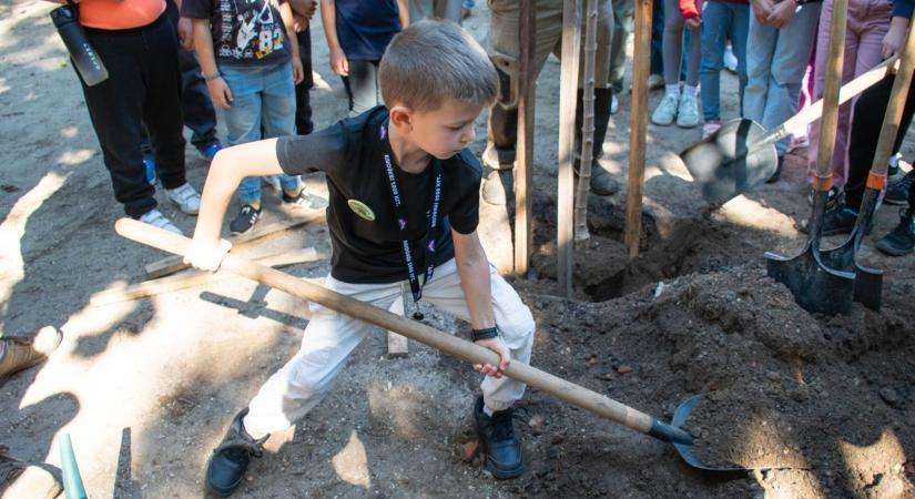 Kisdiákok ültettek facsemetéket a debreceni iskolában - fotókkal