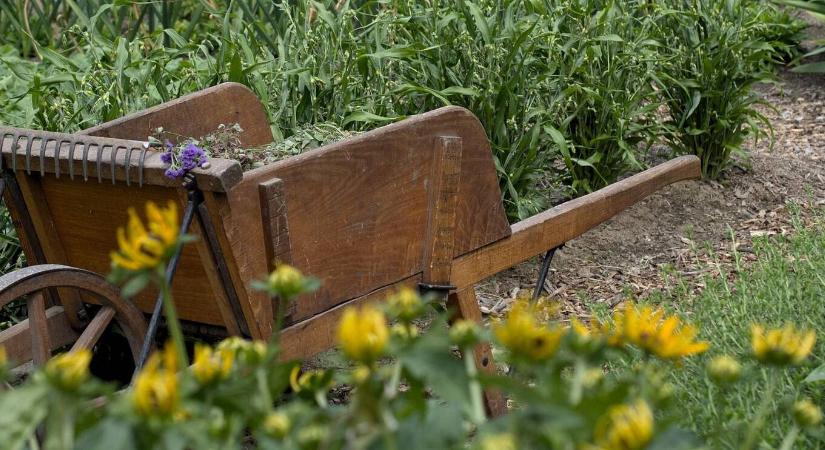 Kertészkedés gyerekkel – mit bízhatunk rájuk?