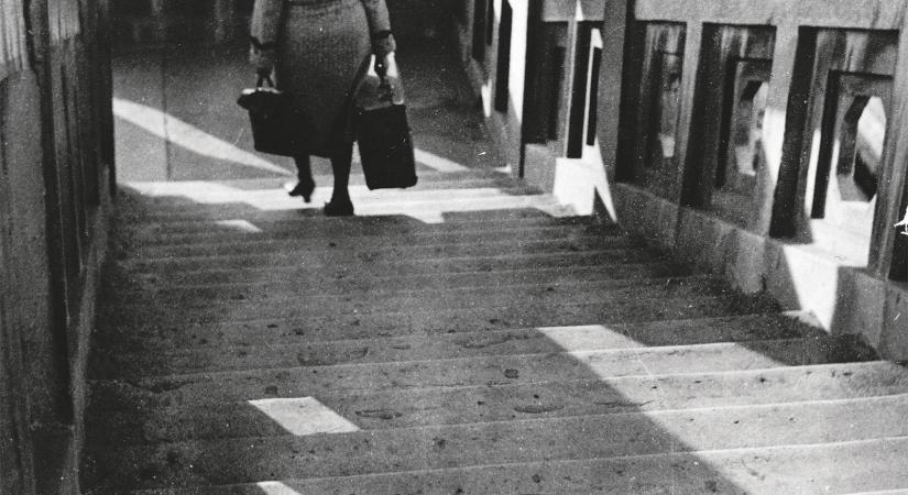 Cserháti Éva: A múlt lankái (Részlet a regényből)