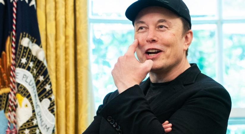 Elon Musk miatt aggódnak a Royal Societynél