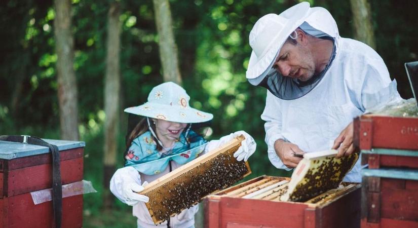 Ezek a kaposmérői mézek kapták a legtöbb szavazatot a fesztiválozóktól