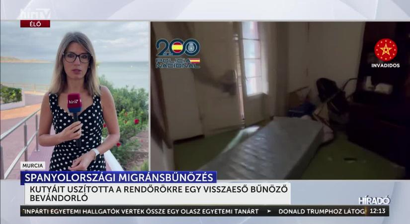 Rendőrökre uszította a kutyáit egy visszaeső bűnöző migráns Spanyolországban  videó