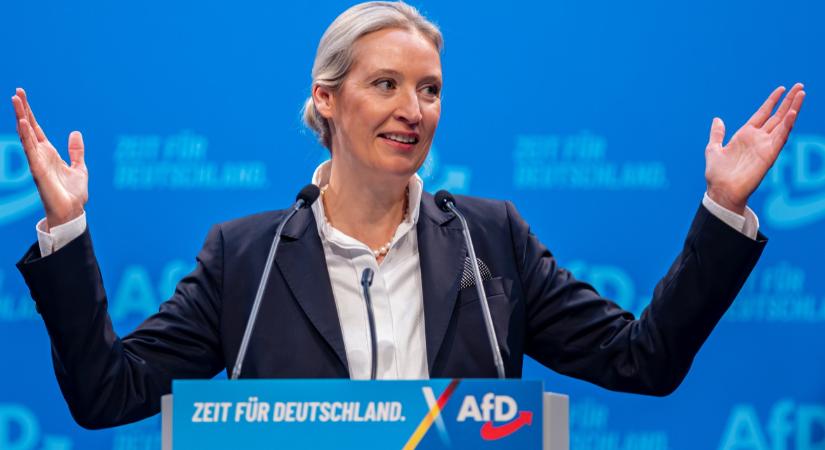 Újabb német felmérés: holtverseny a CDU/CSU és az AfD között