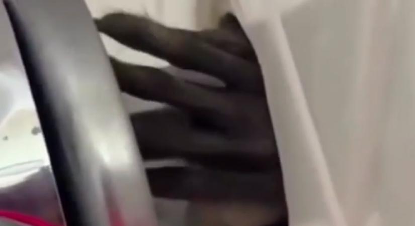 Jéghideg sokk a zuhany alatt: karmok bukkannak elő a fürdőszoba falából - Videó