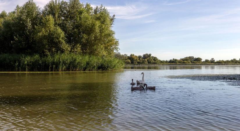Kísértetfalu bukkant fel a Tisza-tónál, hátborzongató módon a lakói is visszajártak