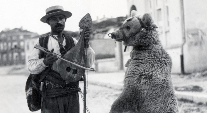 Vásárhely Anno: amikor még medvetáncoltatáson szórakoztak a vásárhelyiek