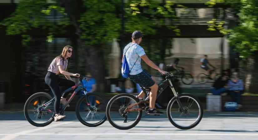 Délelőtti akadály a bringásoknak: faág zuhant a forgalmas kerékpár útra Egerben