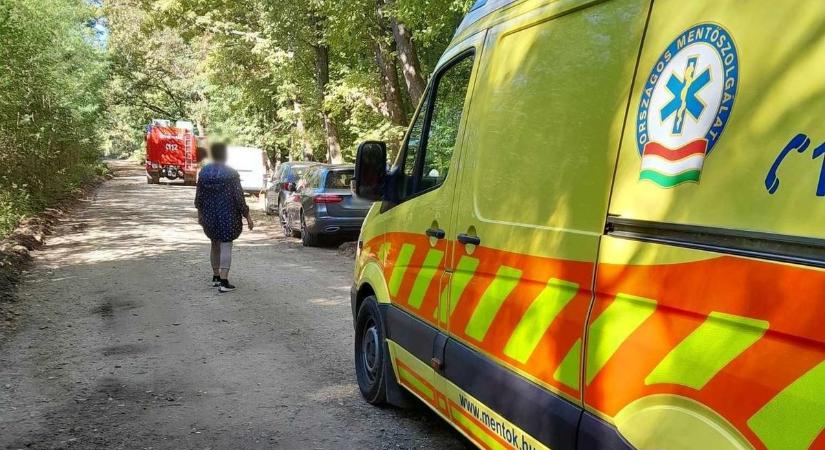 Megszúrta a faág, erősen vérzett, mentőt hívtak az erdőben gombászó férfihez