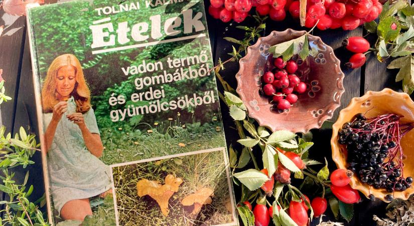 Gyűjtögetők szakácskönyve, útmutató a vadonba
