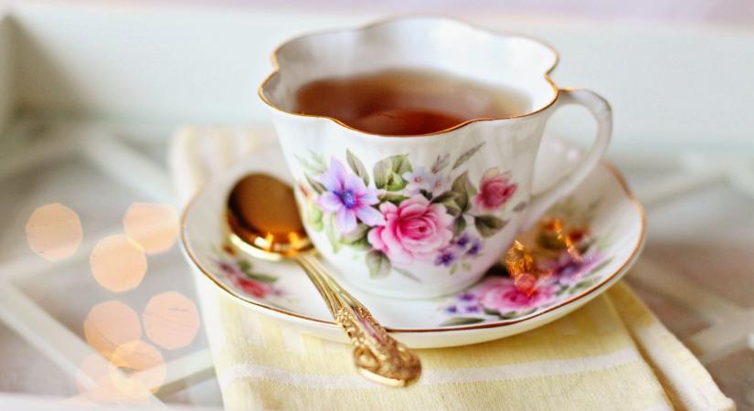 Teadélután a költészet jegyében – Irodalmi élmények Dunaújvárosban