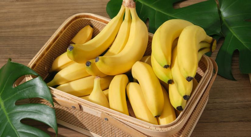 Ezt soha nem gondolnád: erre használhatják a jövőben a banánnövényeket