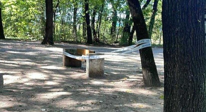 Holttestet találtak a dunaújvárosi kiserdőben - frissítve