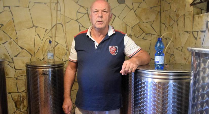 Megéri még bort készíteni? Zalai gazda beszélt az idei szüret tanulságairól