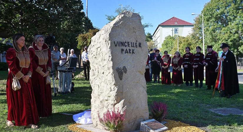 Vincellér tér és egri bor