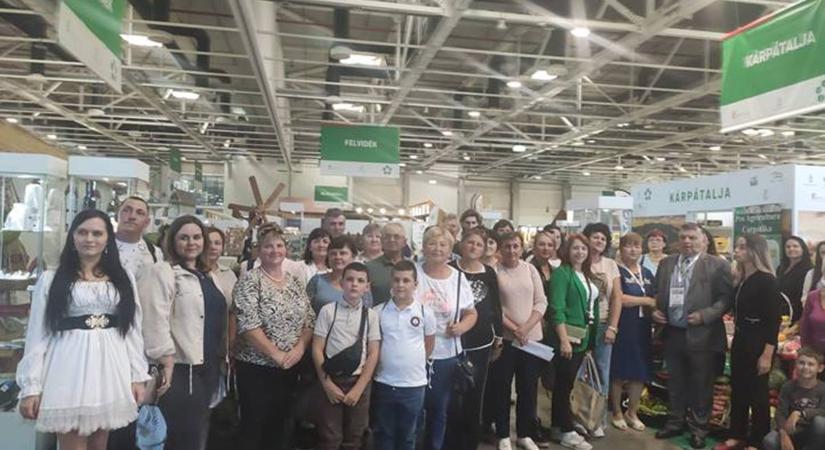 OMÉK – a Kárpát-medence legjava - Bemutatkoztak földijeink