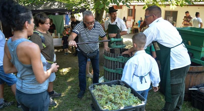 A hevesi községben volt minden - szarvaspörkölt, táncoslábú nagyik, fröccsivó verseny