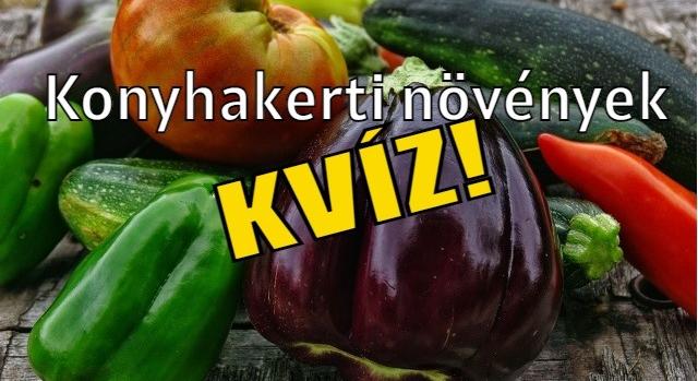 Kvíz: Felismered a konyhakerti növényeket?