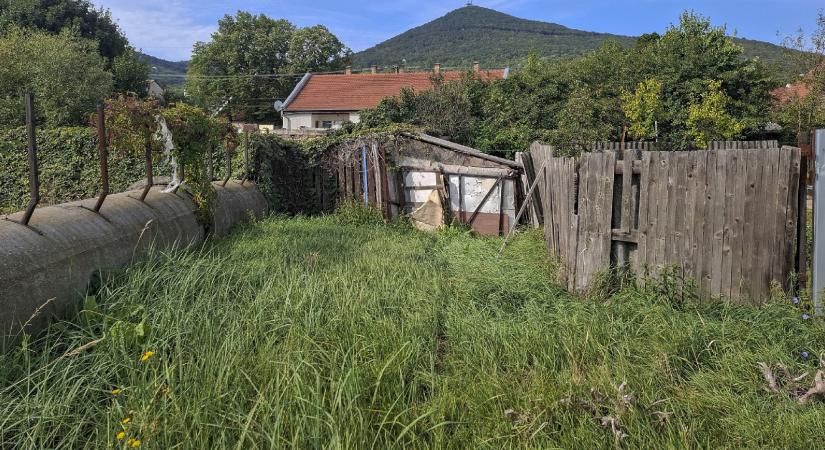 „Hülye helyem”: giliszták, kígyók és önazonosság Sátoraljaújhelyen