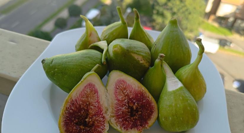Égési sérülést is okozhat, ha így szedjük ezt a gyümölcsöt - érzékenyek, allergiások, figyelem!