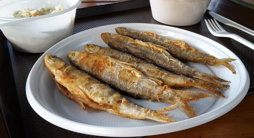 Egyél halat, ne halogasd
