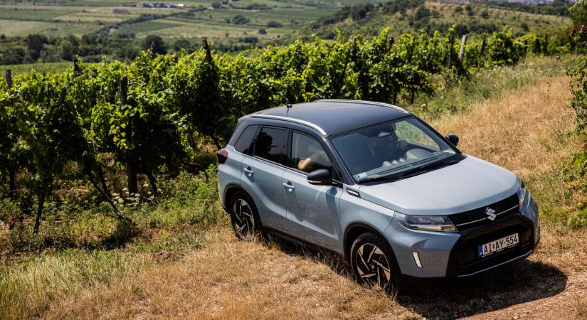 Döntött a Suzuki: változik az arculat