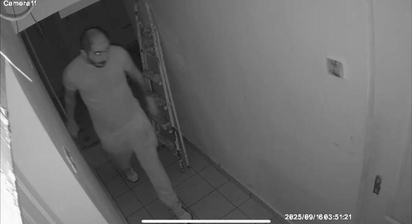 2 milliót lopott a főnökétől, most abból bulizgat, amit TikTokon is megoszt a kaposvári férfi