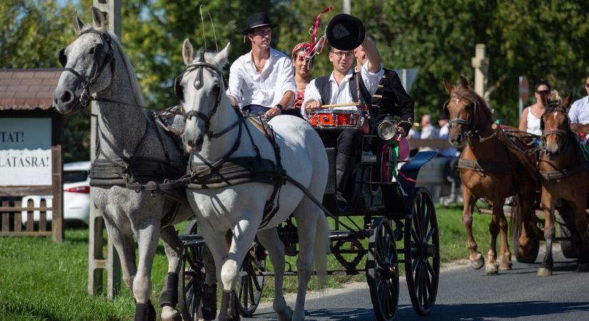Felvonulás Palinban - együtt ünnepeltek a városrész lakói