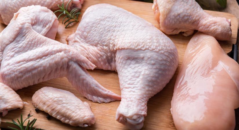 Végre vége a tilalomnak: újraindul a brazil csirkehús importja