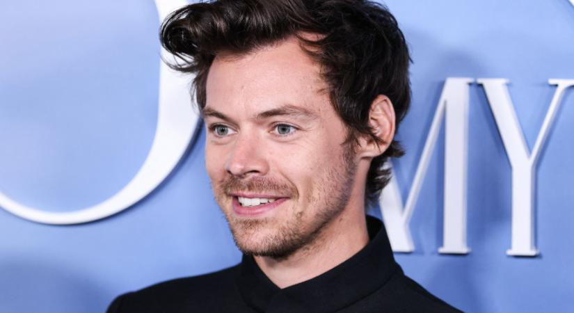 Hihetetlen: Harry Styles ezen az álnéven futotta le a berlini maratont - Videó is készült róla