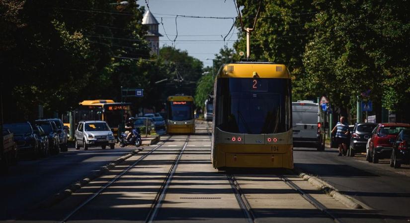 „Gyakoriak a késések és a gyalogosok sincsenek biztonságban” – a szegediek megreformálnák a kaotikus tömegközlekedést