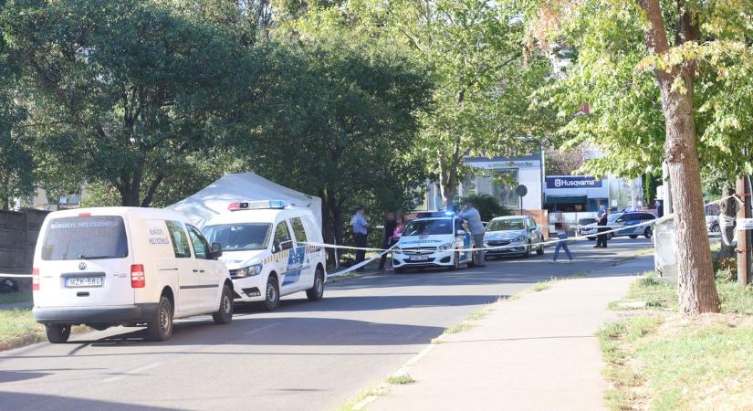 Holtan találtak egy embert Pécsett: hatalmas a rendőri készültség, a környéken rettegnek (GALÉRIAVIDEÓ)
